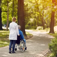 A woman pushes an elderly man in a wheelchair down a sunlit, tree-lined park path. The scene conveys companionship and tranquility amidst nature.